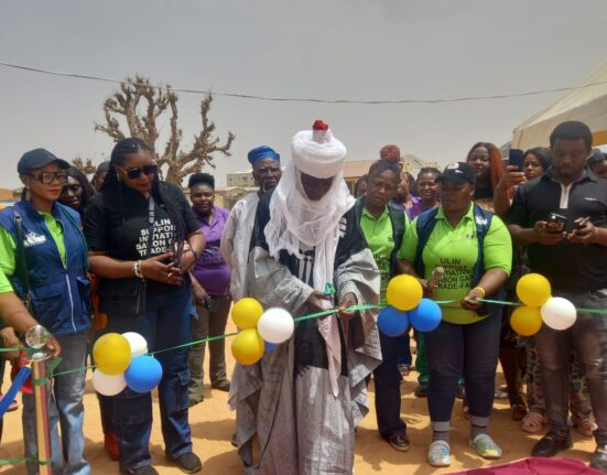 Ulin, Support, Initiative, sabon