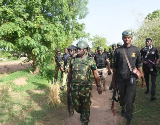 Troops, rescue, kidnapped, victims, recover, 318 rustled livestock