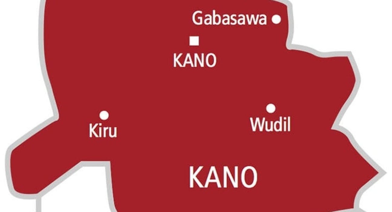 kano, Higher Education in Kano