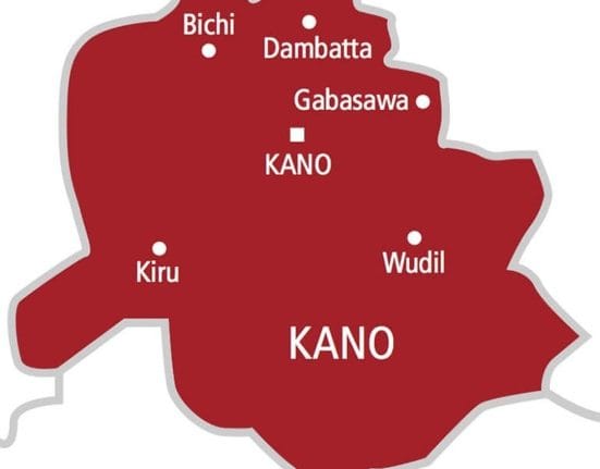 kano, Higher Education in Kano