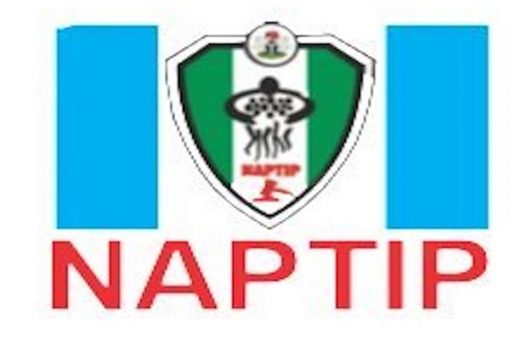 NAPTIP 510x340
