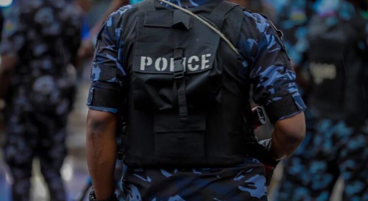 Police, Kano