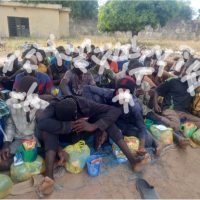 Screenshot 20251124 123707 Gallery