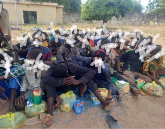 Screenshot 20251124 123707 Gallery