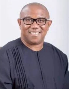 State, police, should, take, off, after, 2027 elections, Peter Obi
