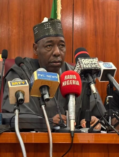 Borno Governor Zulum backs NAU Biu medical college