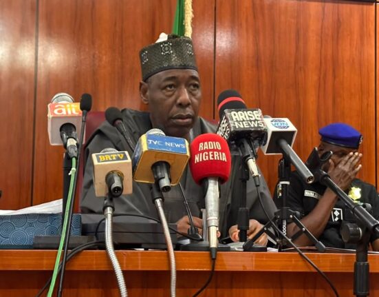 Borno Governor Zulum backs NAU Biu medical college